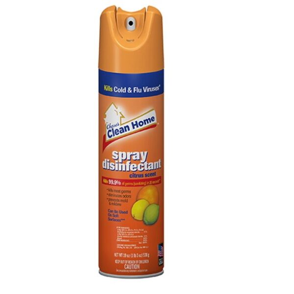 Disinfectant Spray Clean Home Citrus Scent Aerosol-19oz